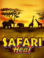 ประสบการณ์เล่นตู้ม้า ทดลองเล่นสุดมันส์